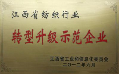 2012轉(zhuǎn)型升級(jí)示范企業(yè)
